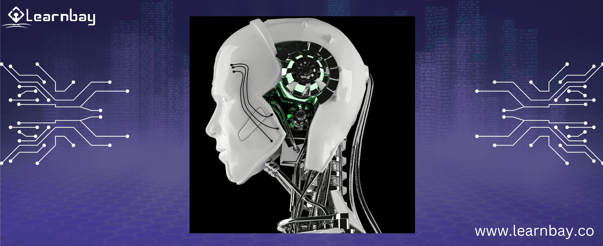 An AI-based robotic brain suggesting the use of AI in Darwin.