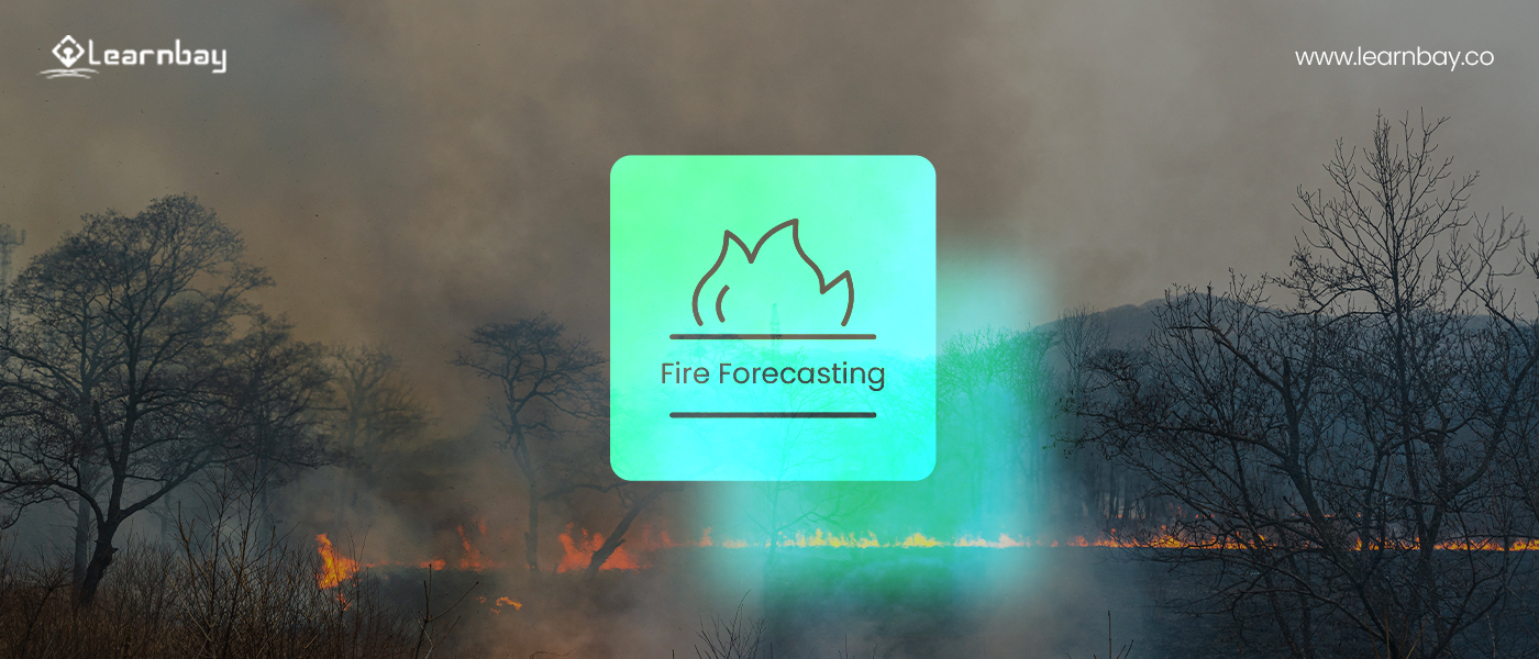 A photo suggests forest fire forecasting with a background forest fire.