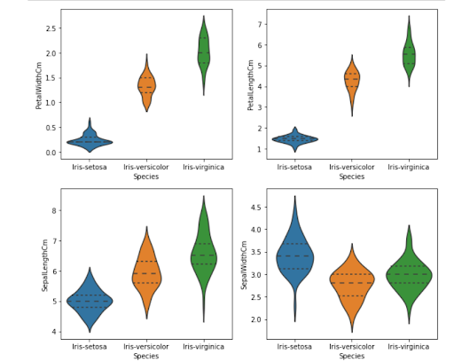 An image shows four different violin plots graphs based on the metrics PetalWidthCm, PetalLengthCm, SepalLengthCm, and SepalWidthCm.  The graph is plotted on the basis of species such as Iris-setosa, Iris-verisicor, and Iris-Virginica.