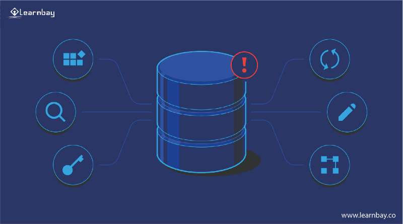 An illustration of several functions in database management systems represents six factors: search, password, data, etc.