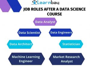 An image suggests data science roles such as Data analyst, Data scientist, Data Engineer, Data Architect, Satatsician, Machine Learning Engineer, and Market Research Analyst.
