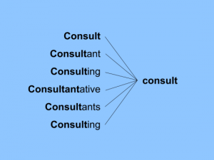 An example text stemming method using the word 'consult.'